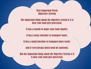 Wrap Up the Year With Important Writing | Scholastic