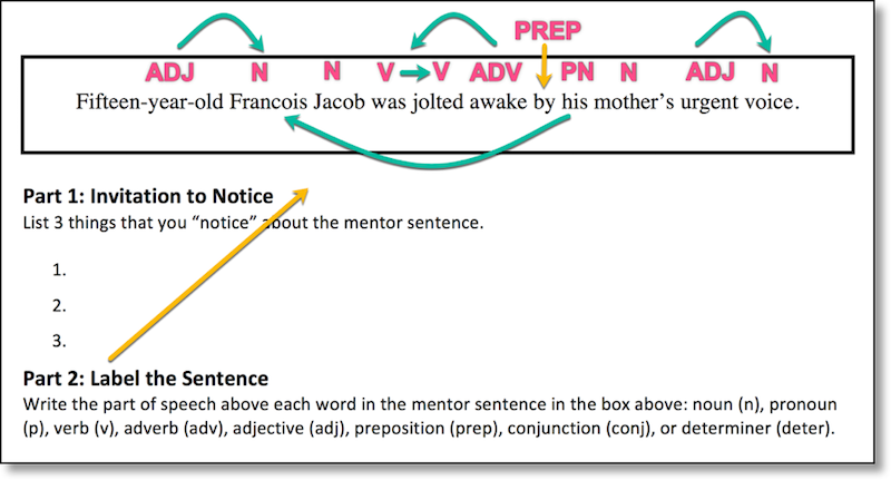 Mentor Sentence Anchor Chart