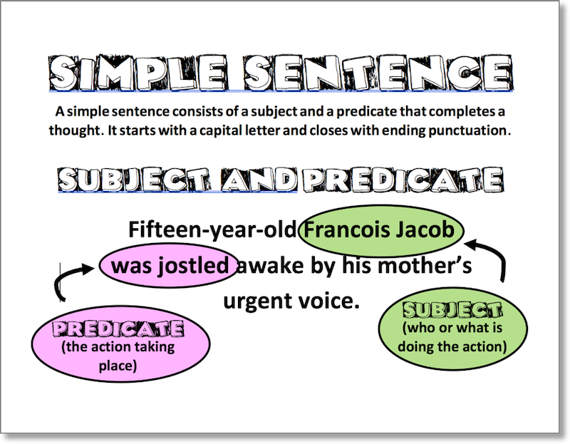 Mentor Sentence Anchor Chart