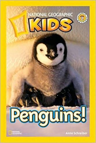 Full STEAM Ahead: Preschoolers and Penguins | Scholastic