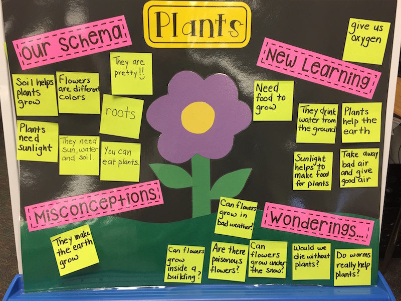 Plant Anchor Chart