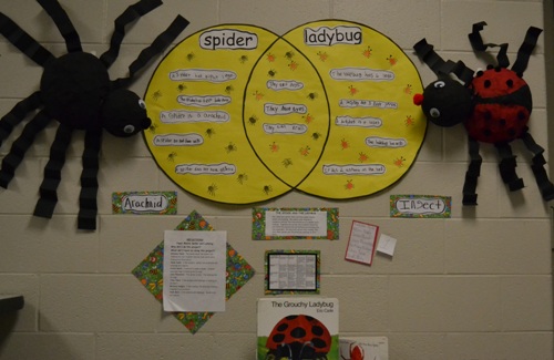 Apple Diagram For Preschool