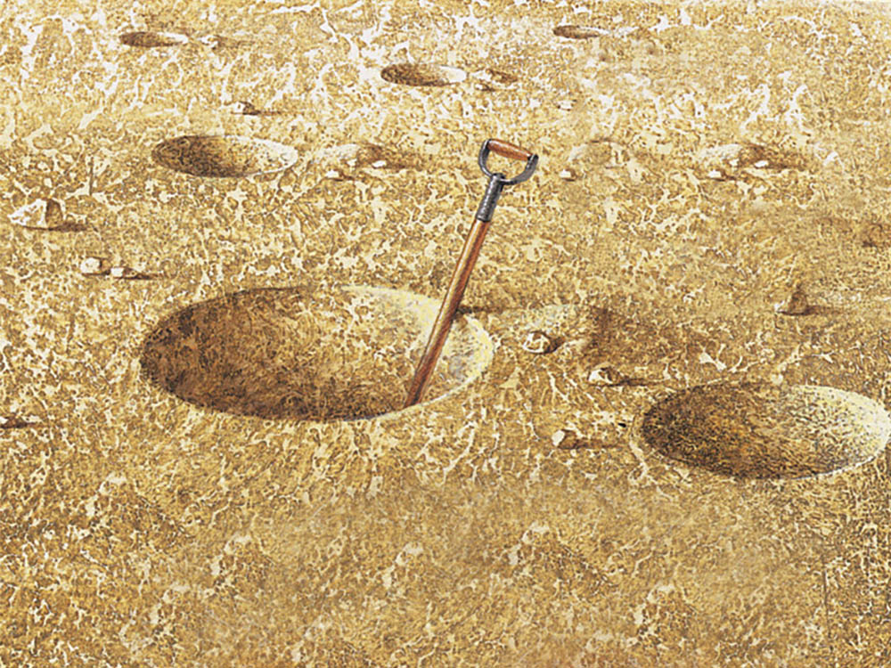 Teaching With Holes Scholastic