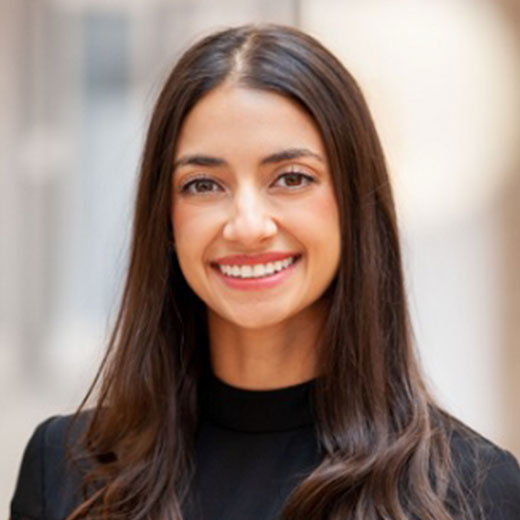 Elena constantinou thesis 06 picture