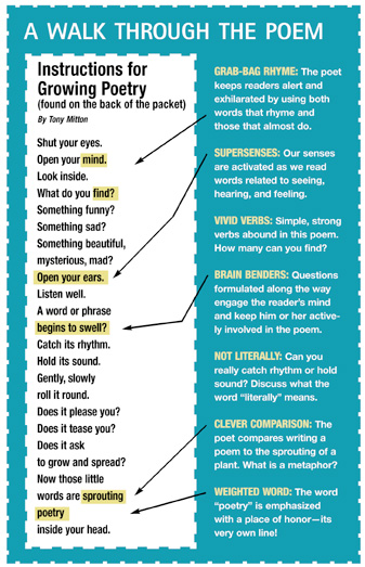 how to discuss a poem