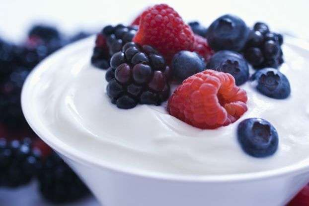 You-nique Yogurt Treats