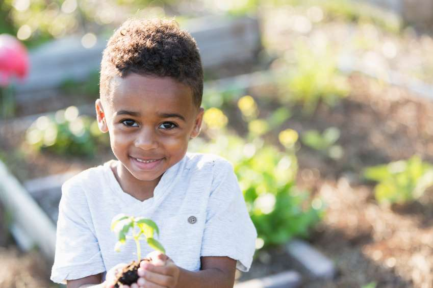 Sweet little boy holding seedling