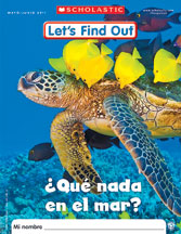 Let's Find Out Spanish