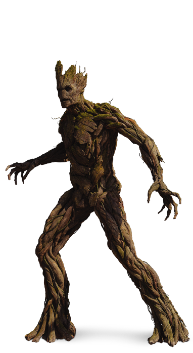 Groot