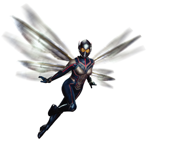 The Wasp