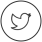 twitter_icon