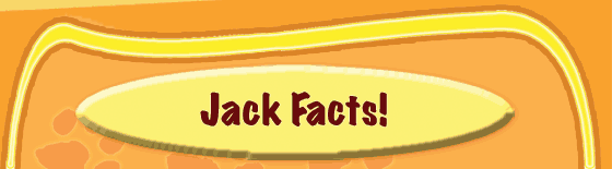 Jack Facts!