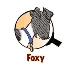 Foxy