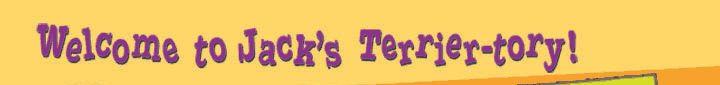 Welcome to Jack's Terrier-tory