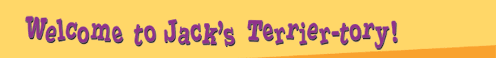 Welcome to Jack's Terrier-tory