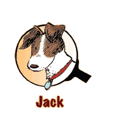 Jack