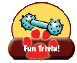 Fun Trivia