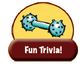Fun Trivia