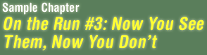 Sample Chapter -- On the Run #3: Now You See Them, Now You Dont