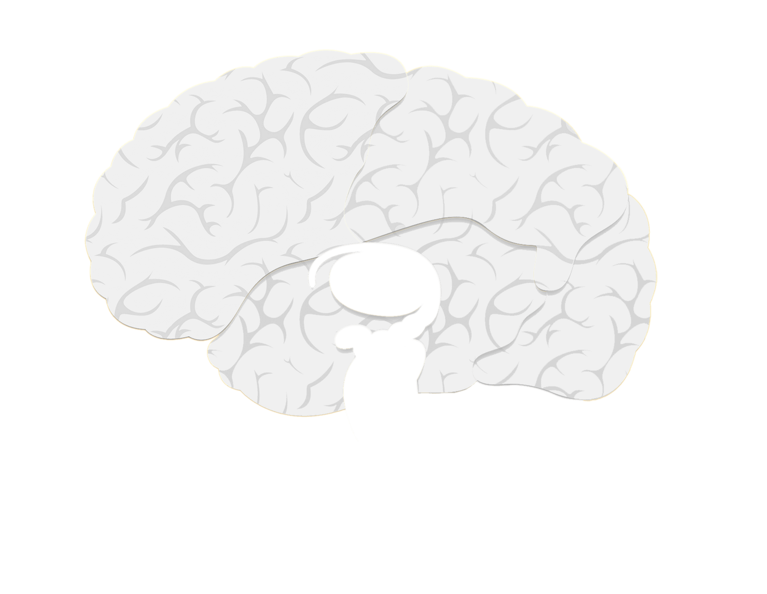 background brain image