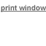 print window