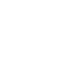 Rising Voices Logo