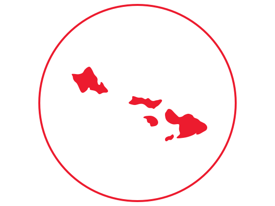 Hawaii State Icon